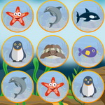 Animals Memory