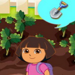 Dora Needs Tools