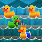 Duck Shoot