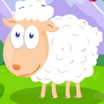 Feed The Sheep