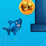Jumpy Shark