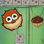 Nuts For Winter