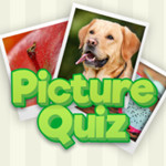 Picture Quiz